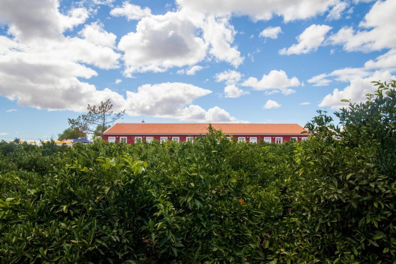 Quinta Dos I's - Algarve Farm stay Ferrarias (Algoz)