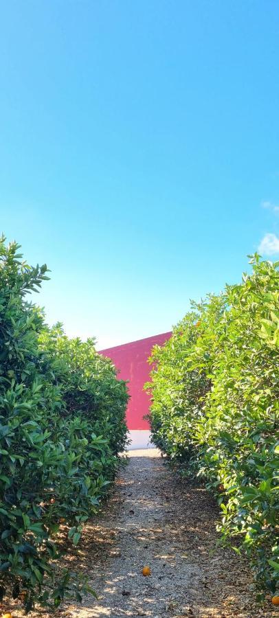 Farm stay Quinta Dos I's - Algarve Ferrarias (Algoz)