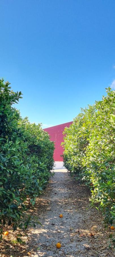 Farm stay Quinta Dos I's - Algarve